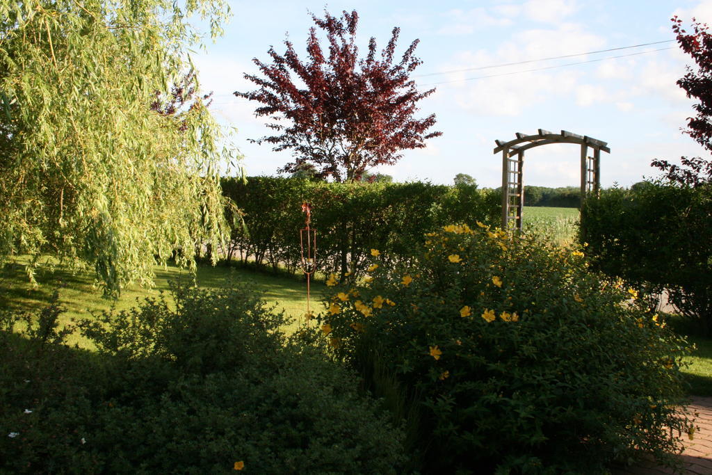 Herbages De Beauvais Orgères-la-Roche Dış mekan fotoğraf